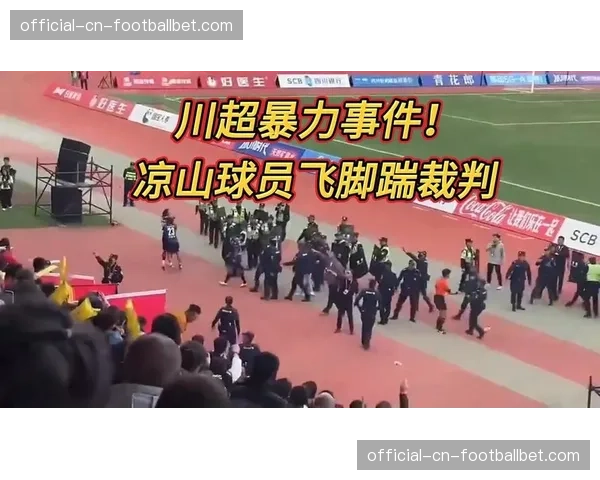 比赛因球迷投掷杂物中断，两队队长一同上前劝解
